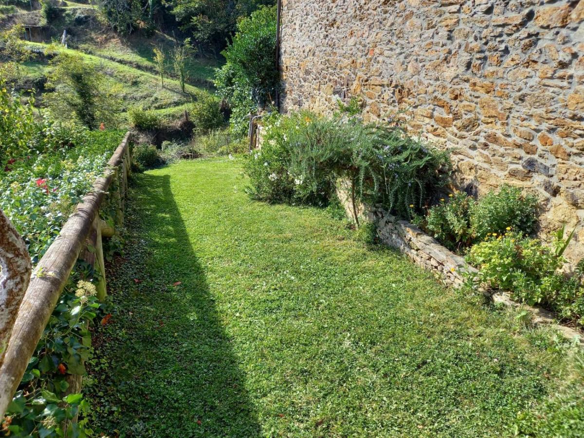 La Cabana´l Cachican Cangas De Narcea Exterior foto