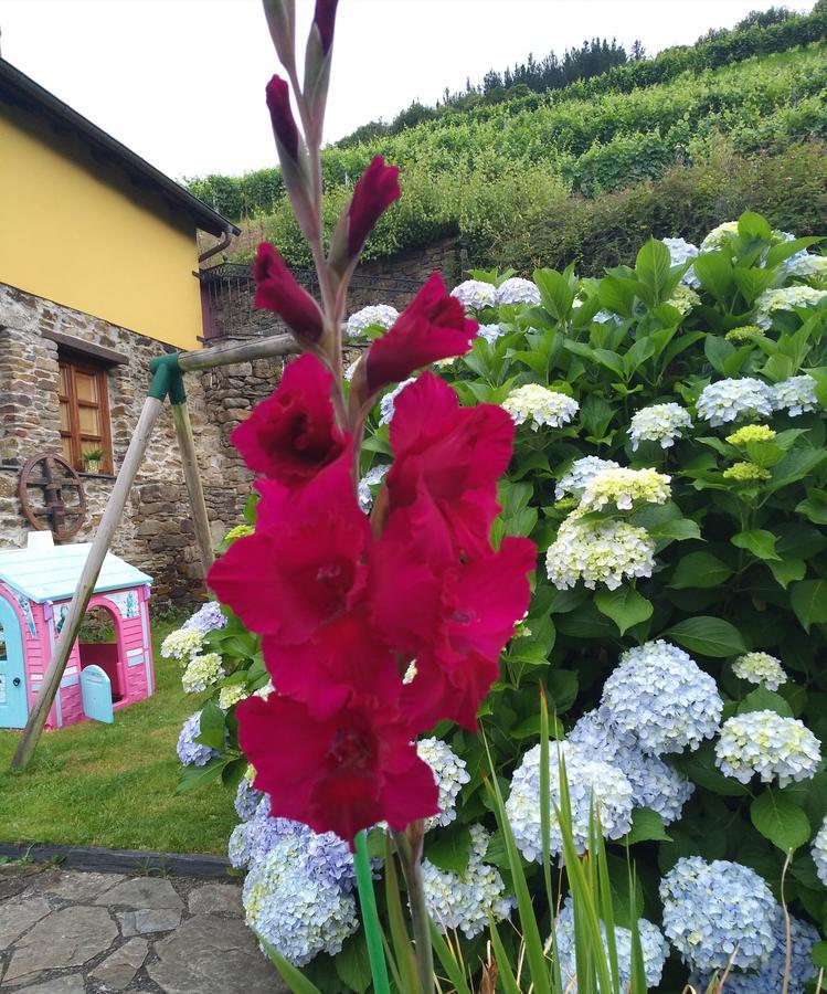 La Cabana´l Cachican Cangas De Narcea Exterior foto